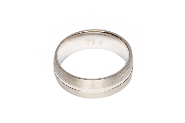 Curabitur cursus dignis